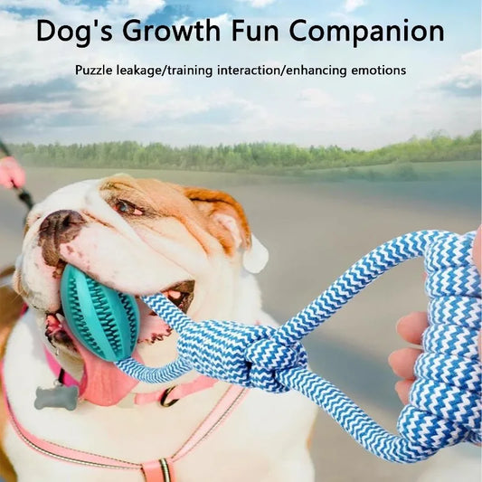 Braided Rope Dog Toys, Dental Cleaning, Treat Dispenser
