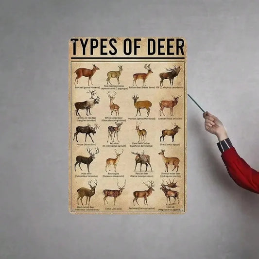 Rustic Deer Types – Hunting Decor Wall Art,