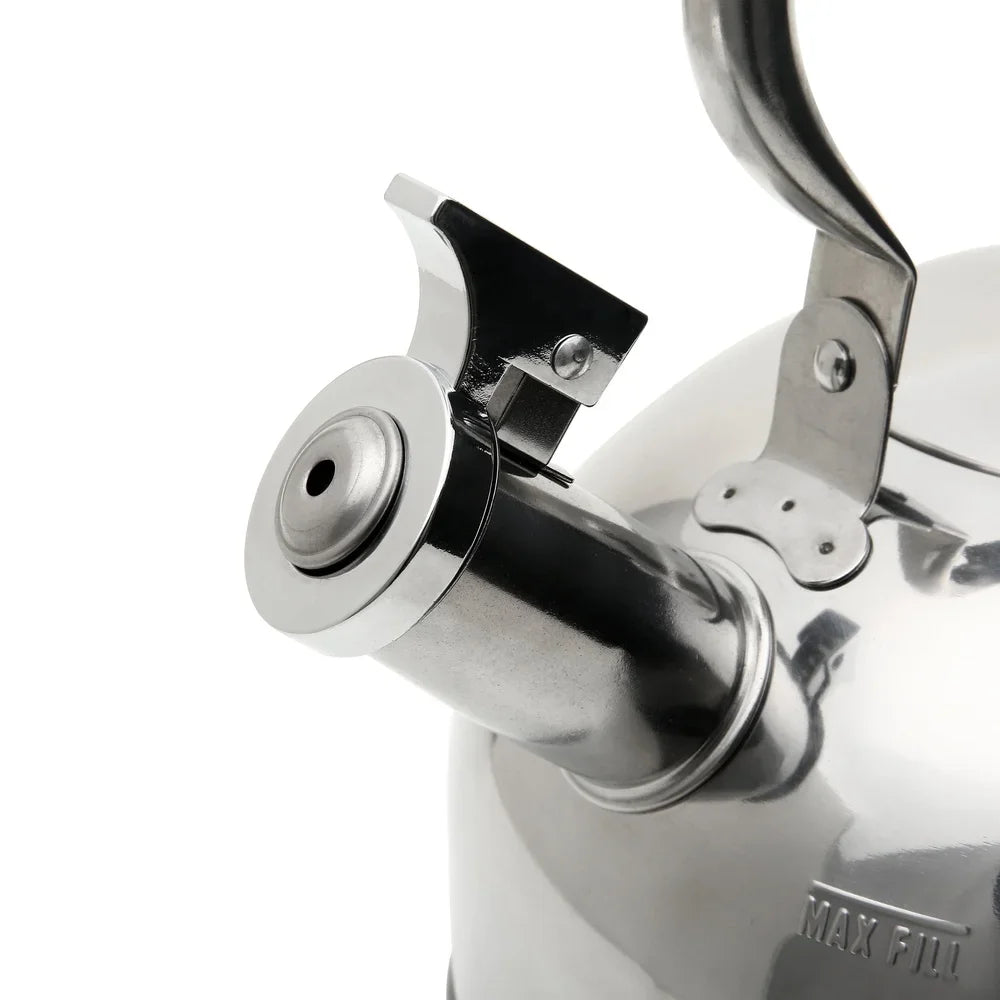 Stainless Steel Whistling Tea Kettle