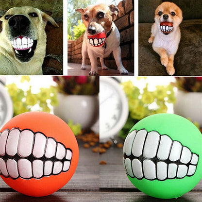 Squeaky Dog Ball Toy Interactive