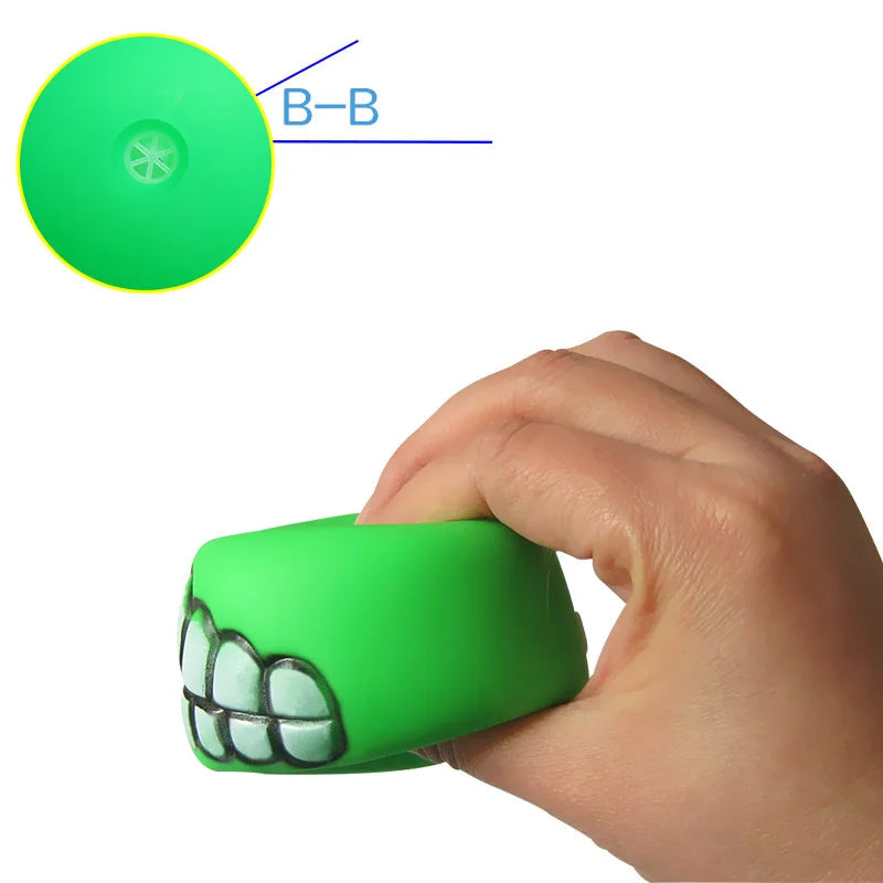 Squeaky Dog Ball Toy Interactive
