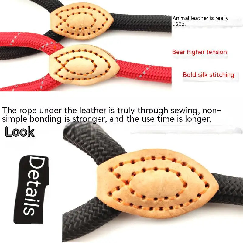 Durable Nylon Lightweight Adjustable Collar Pet Leash