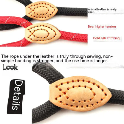 Durable Nylon Lightweight Adjustable Collar Pet Leash