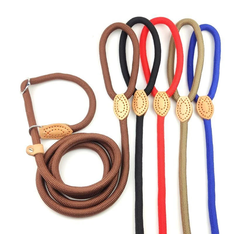 Durable Nylon Lightweight Adjustable Collar Pet Leash