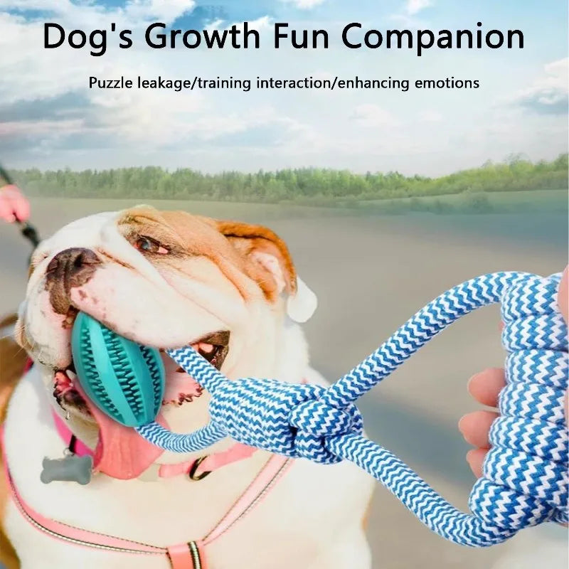 Braided Rope Dog Toys, Dental Cleaning, Treat Dispenser