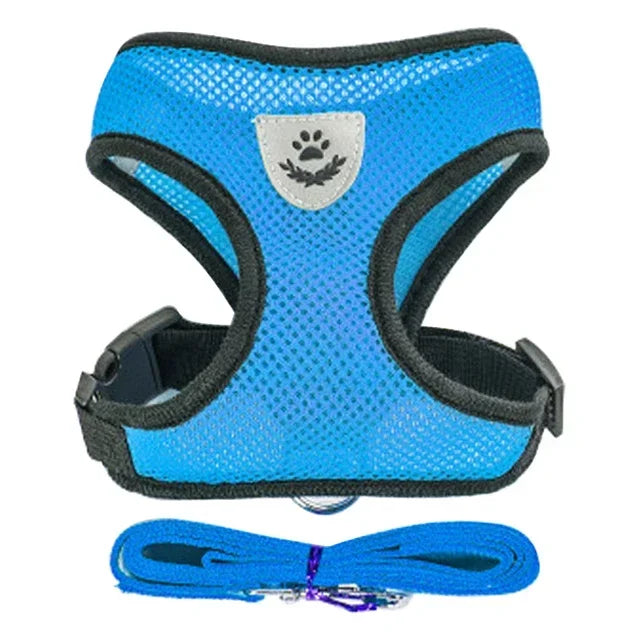 Polyester Adjustable Mesh Harness & Walking Leash