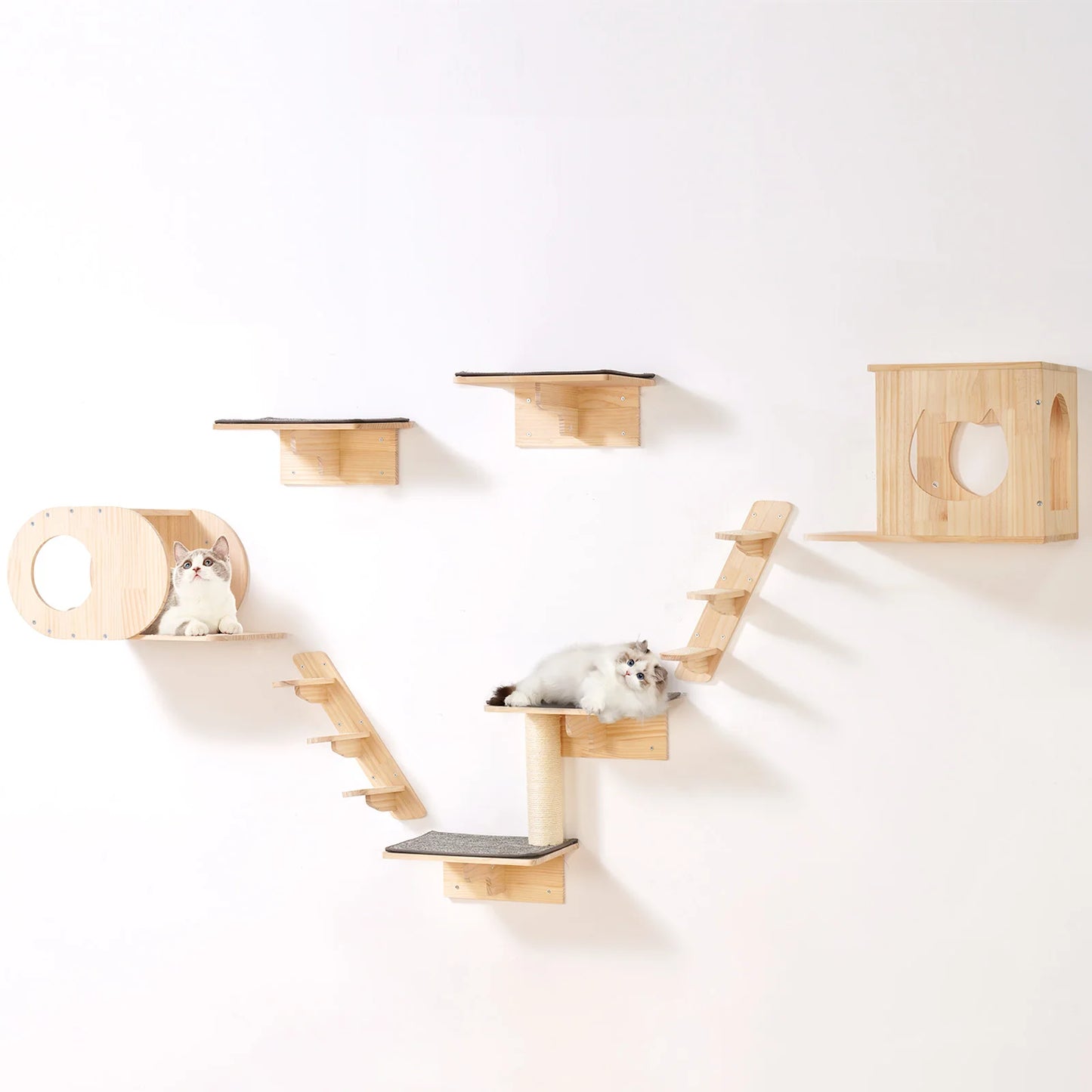 Wall Mounted Cat Shelves and Perches with Jumping Boards Hammocks & Cat Tree Shelves