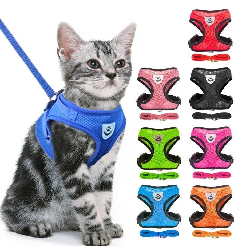 Polyester Adjustable Mesh Harness & Walking Leash