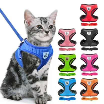 Polyester Adjustable Mesh Harness & Walking Leash