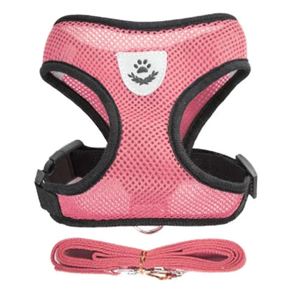 Polyester Adjustable Mesh Harness & Walking Leash
