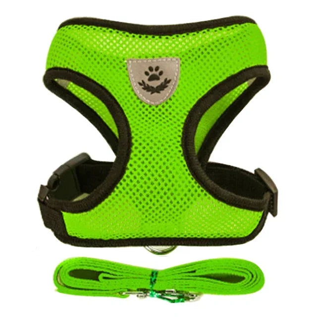 Polyester Adjustable Mesh Harness & Walking Leash