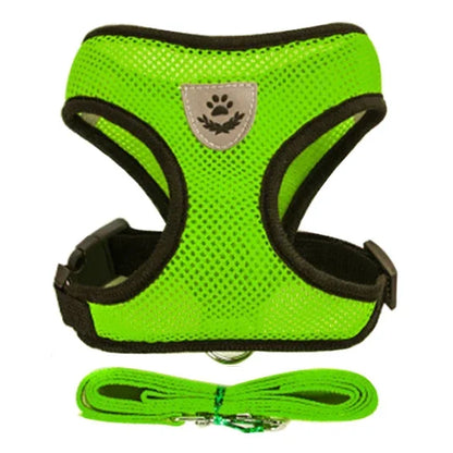 Polyester Adjustable Mesh Harness & Walking Leash