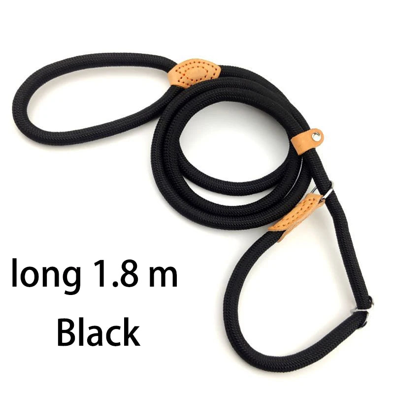 Durable Nylon Lightweight Adjustable Collar Pet Leash