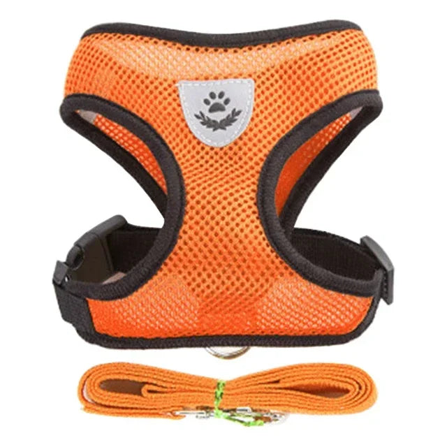 Polyester Adjustable Mesh Harness & Walking Leash
