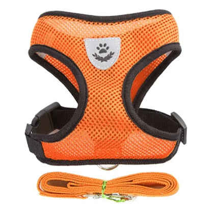 Polyester Adjustable Mesh Harness & Walking Leash