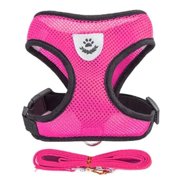Polyester Adjustable Mesh Harness & Walking Leash