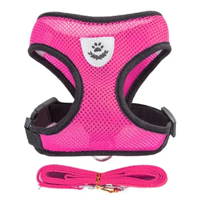 Polyester Adjustable Mesh Harness & Walking Leash