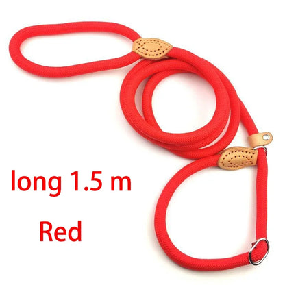 Durable Nylon Lightweight Adjustable Collar Pet Leash