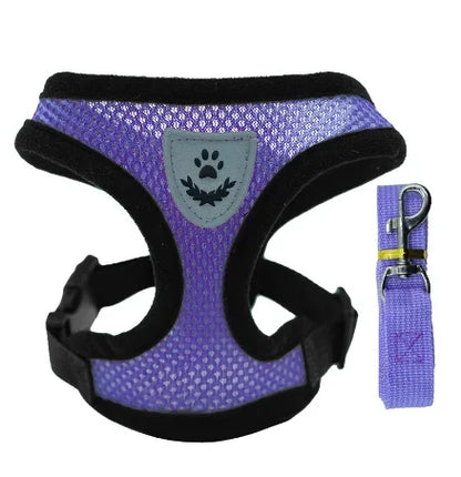 Polyester Adjustable Mesh Harness & Walking Leash