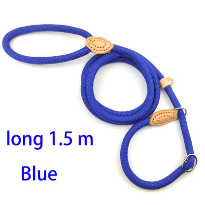 Durable Nylon Lightweight Adjustable Collar Pet Leash