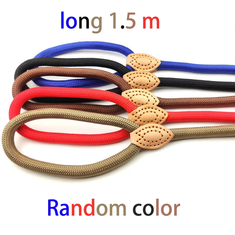 Durable Nylon Lightweight Adjustable Collar Pet Leash