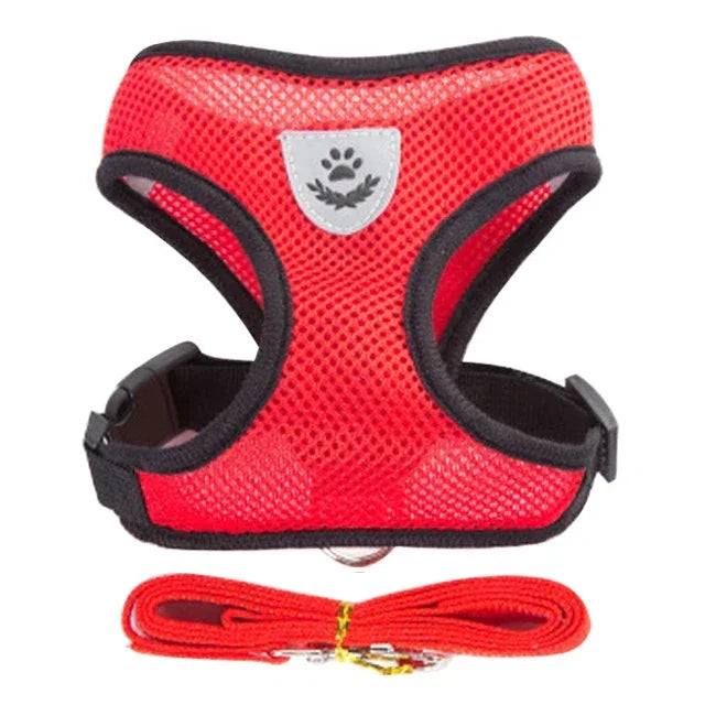 Polyester Adjustable Mesh Harness & Walking Leash