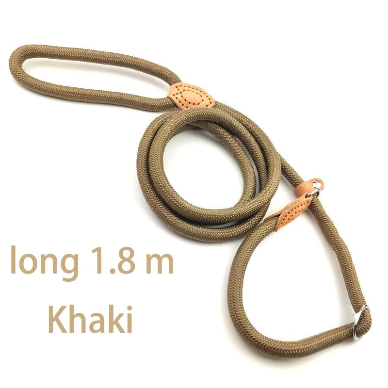 Durable Nylon Lightweight Adjustable Collar Pet Leash